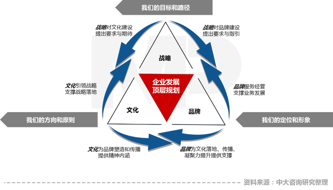 中大咨询认为要乘新材料领域高质量发展快车，在战略规划层面从传统薄膜生产企业转型为“科技型”企业，打造产品力；在企业文化层面综合提升员工对企业的认同度、敬业度和忠诚度，打造文化力，在品牌建树层面讲好品牌故事，以核心优势占领客户心智从而扩大品牌影响，打造品牌力，“三力融合”才能成为该领域的真正赢家。
